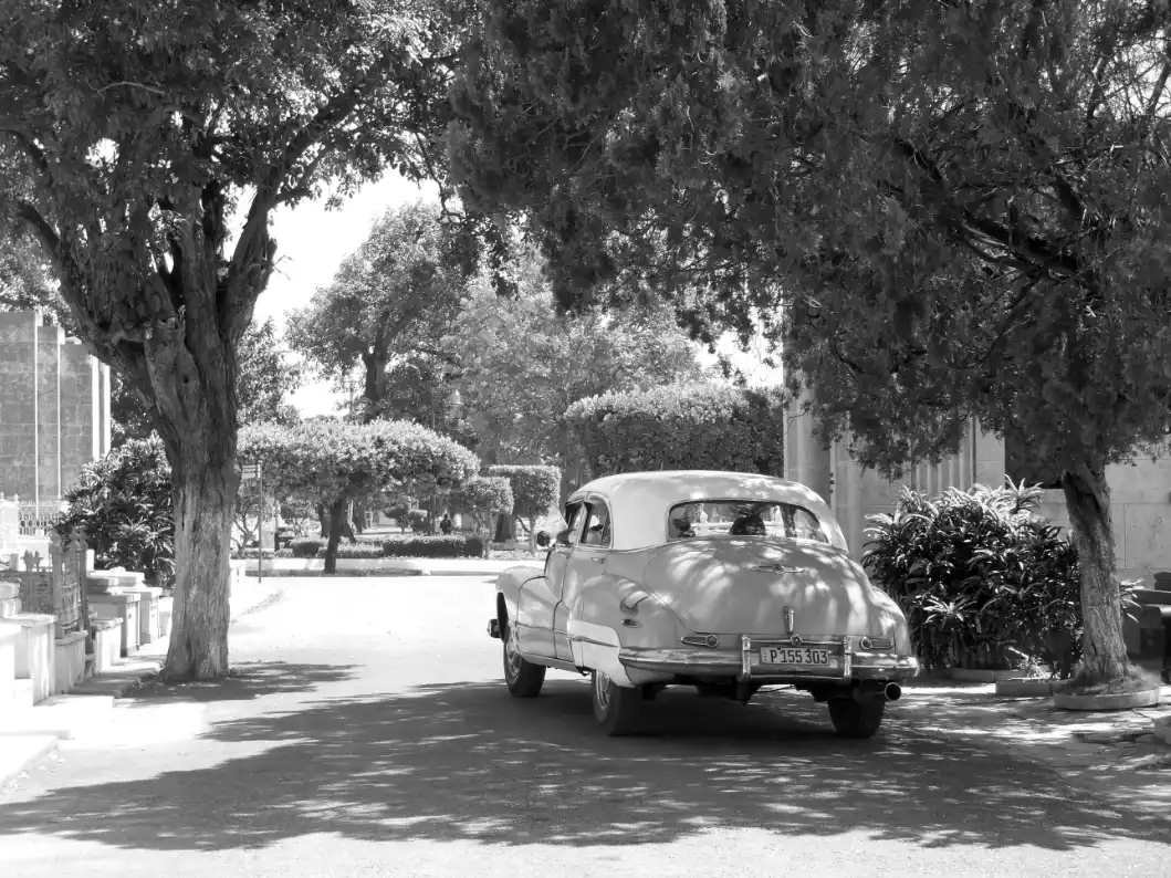 Systemisches Coaching Themen Methoden