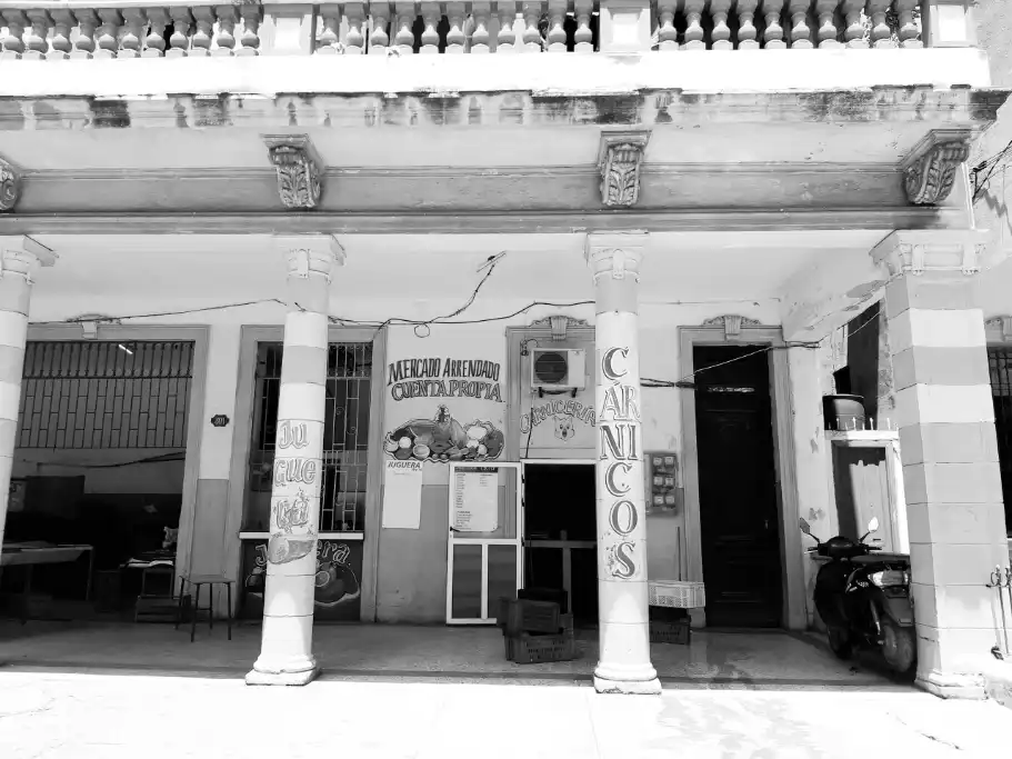 Themen des Systemischen Coachings