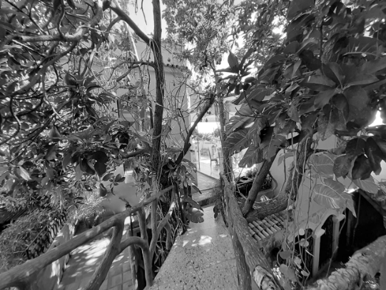 Veränderung bewirken mit Coaching