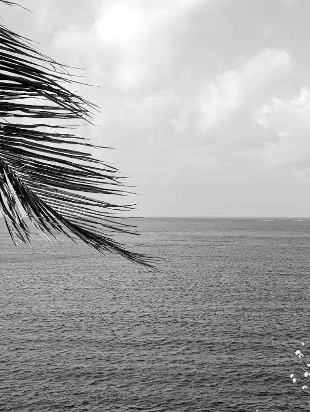 Coaching neue Perspektiven